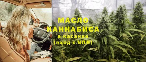 молекула духа Верхний Тагил