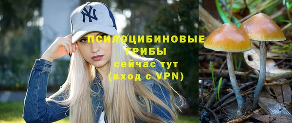 молекула духа Верхний Тагил