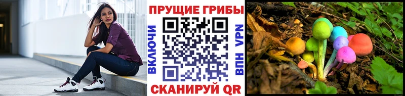 Псилоцибиновые грибы GOLDEN TEACHER  Жирновск 